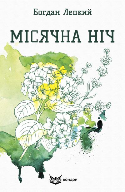 місячна ніч